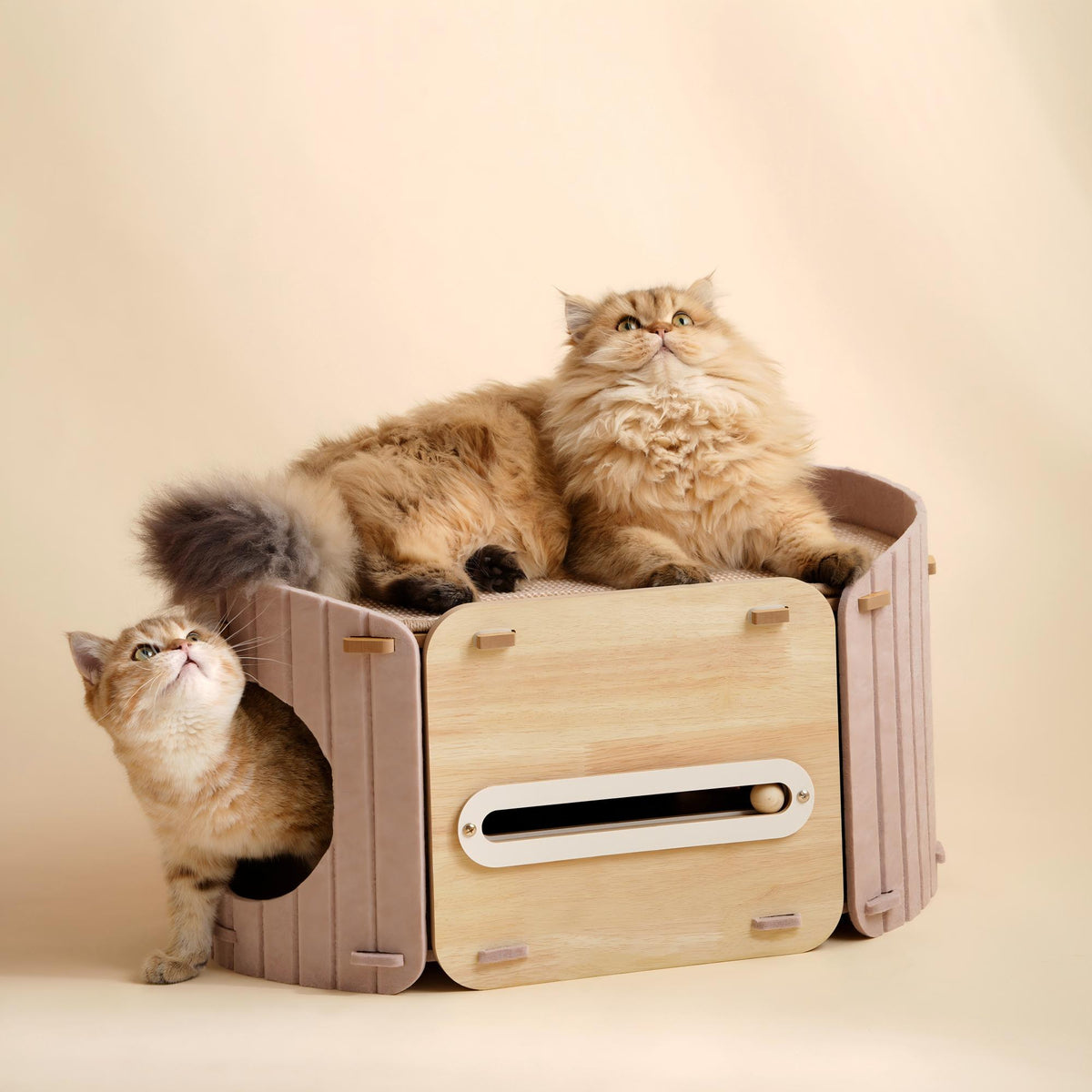 Cat Scratcher Bed 2 Layer Sisal With Felt Nest Wooden Platform and Ball