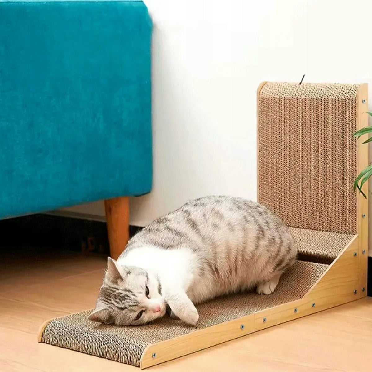 Cat Scratcher Corner with Ball 60 cm 2in1 + CATNIP Packaging status original
