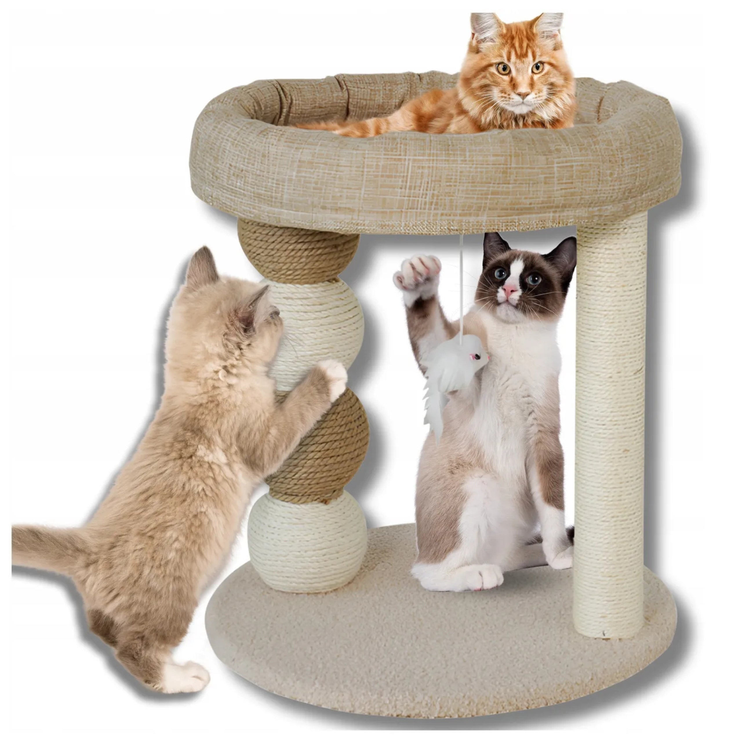 Cat Scratcher with Bed and Scratching String, Height 45 Cm Quality