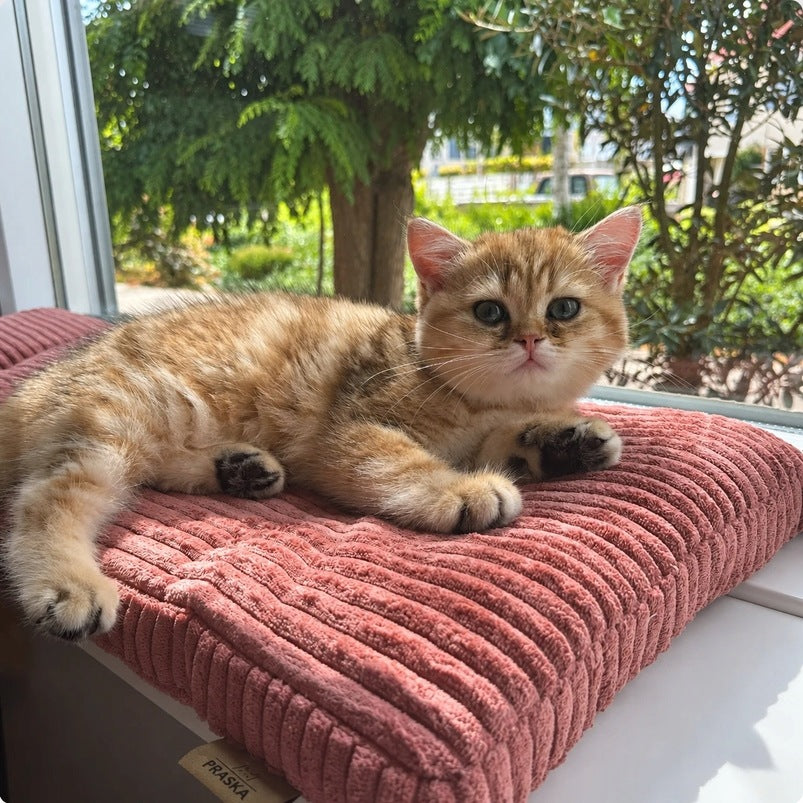 Cat bed FOR WINDOW SILL 100x28 COLORS OF MATERIALS VARIOUS SIZES Manufacturer code 100x28
