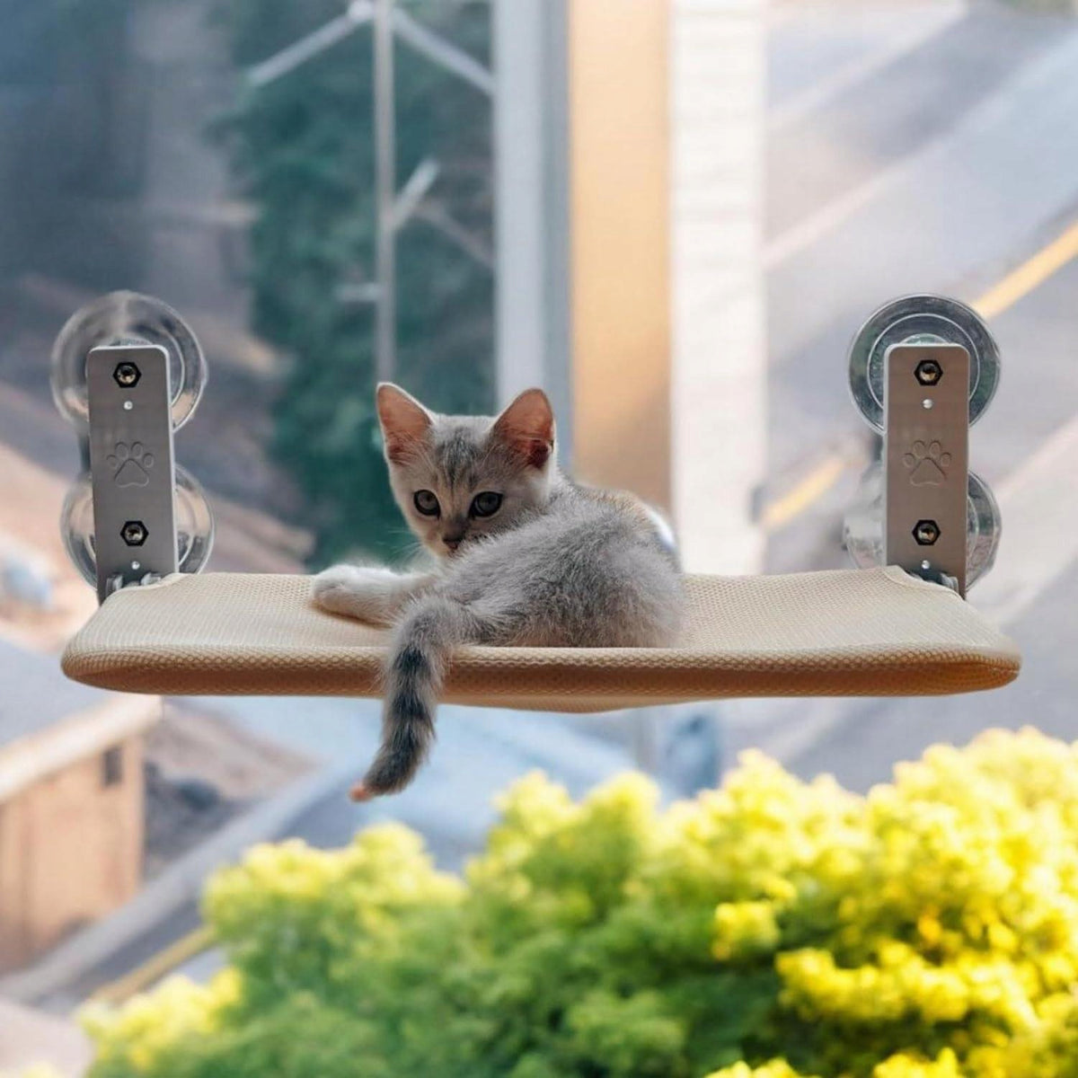 Cat hammock for window - 52x30 bed, perfect for observing the environment! Manufacturer code 5906884046170