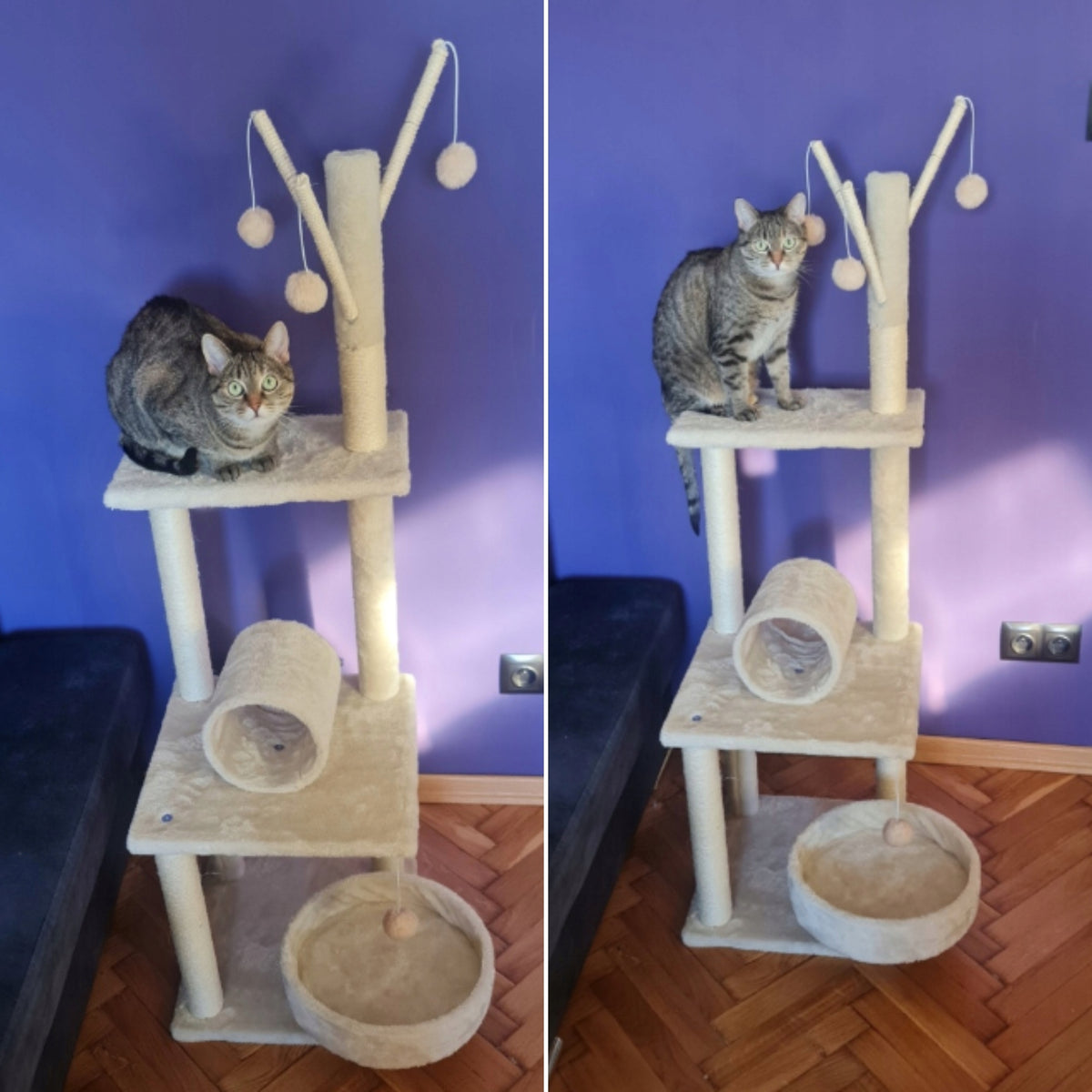 Cat scratcher Tomi 130 cm beige, 5 levels, 4 balls, roller EAN (GTIN) 5906765852050