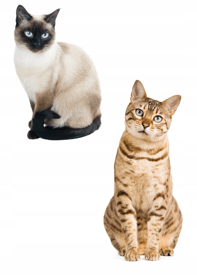 Cat scratcher, cardboard, round 40 x 8 cm, Le Pupi Manufacturer code 865