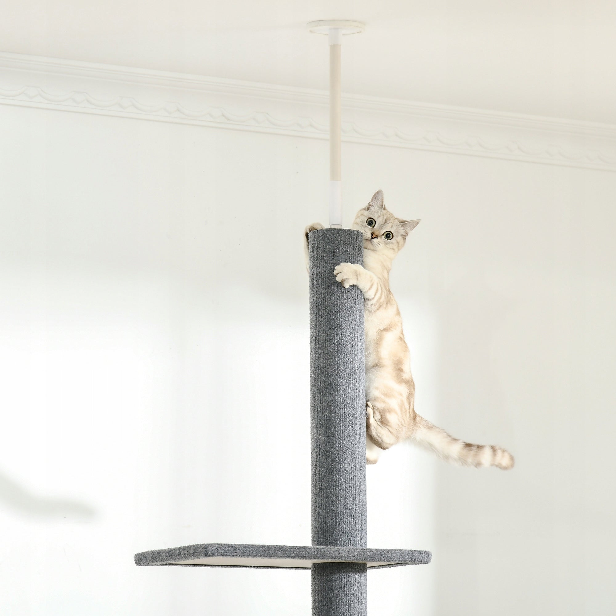Cat scratcher, climbing tree, height adjustable, 43x27x228-260cm Number of levels 4