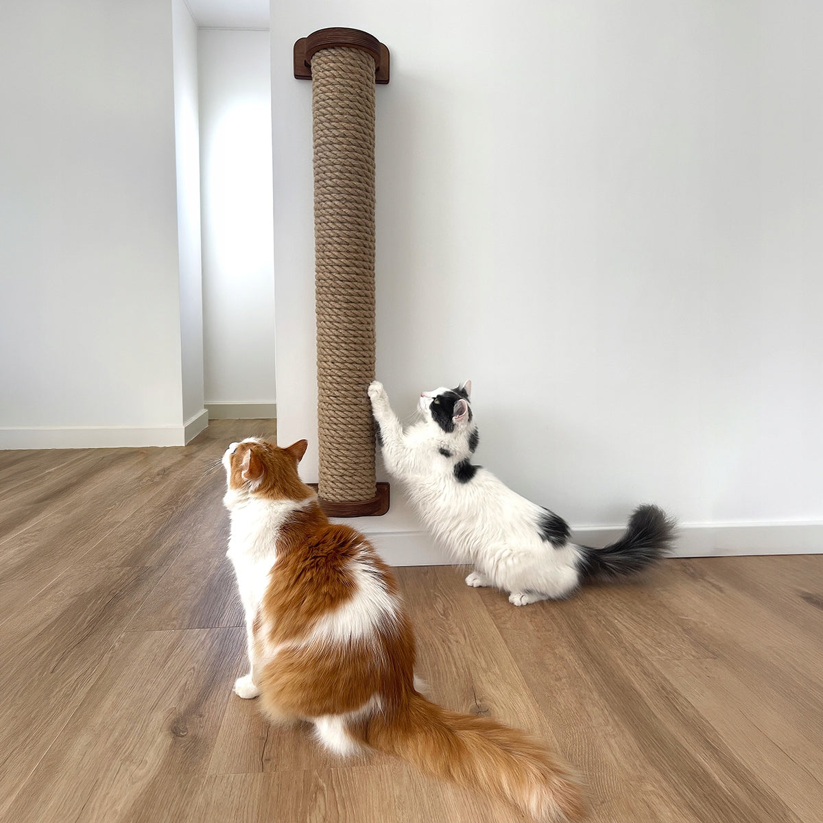 Cat wall scratcher large L / 100 cm cat post, thick rope + screws