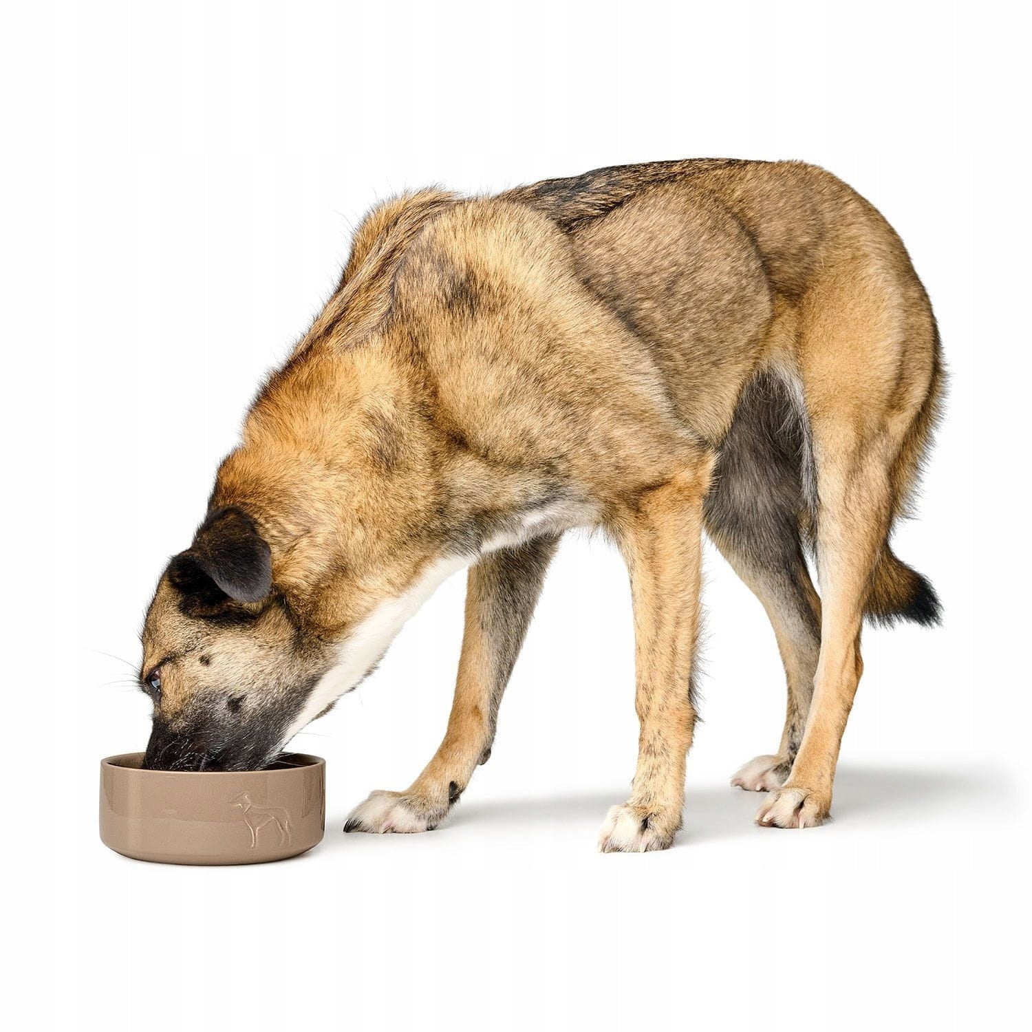 Ceramic dog bowl Osby Glazed beige Hunter - Size: 1100ml Brand Hunter