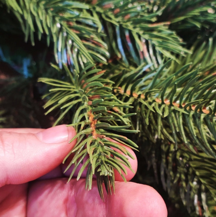 Christmas GARLAND 100% PE 3D FIR OLIVKA Spruce Twigs Christmas Tree 100cm Manufacturer code choinkowa dekoracja jodła dom kominek święta