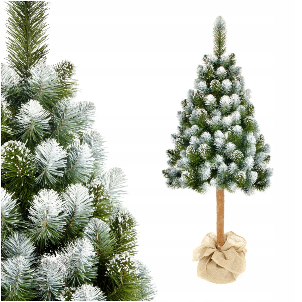 Christmas Tree on the Trunk 180cm Artificial Beautiful DIAMOND PINE Snowy Dense