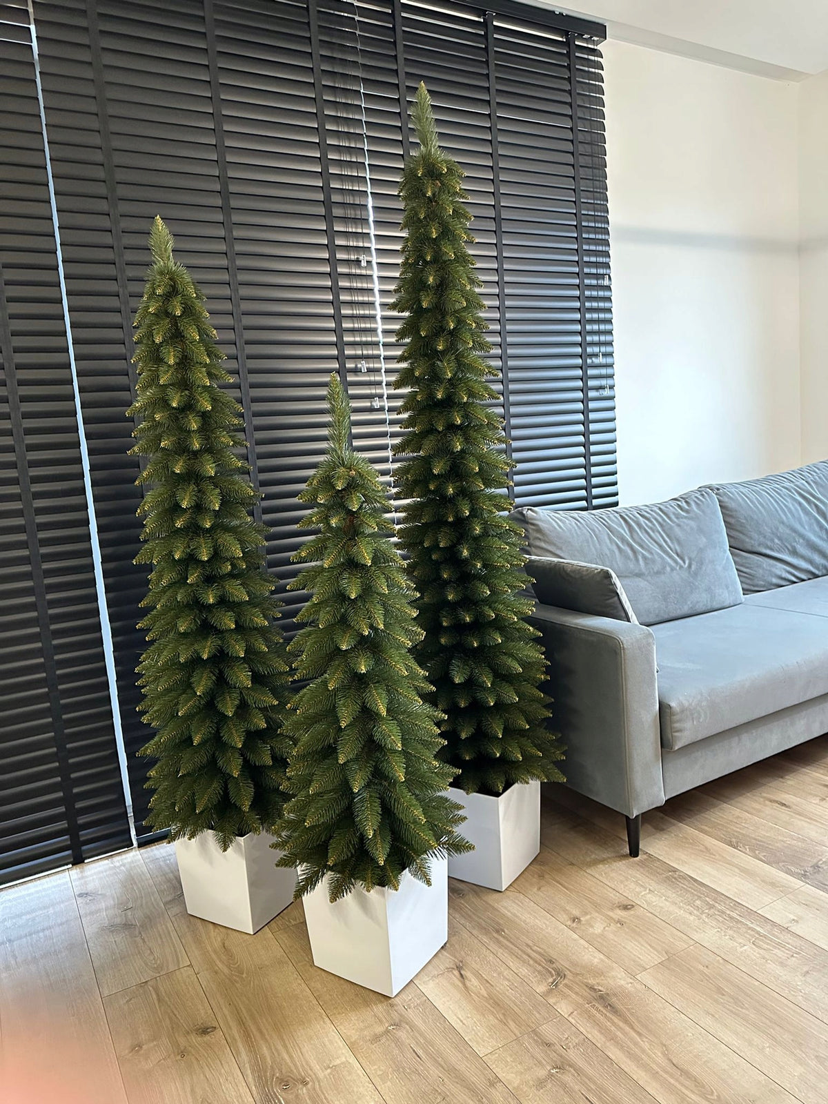 Christmas tree Spruce modern classic 80 cm Zakopane Premium Packaging status original