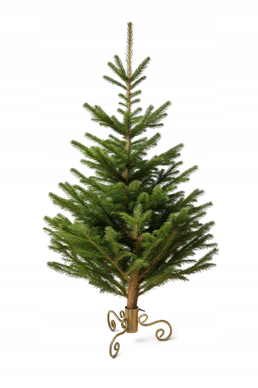 Christmas tree stand Christmas tree holder with water container gold met 058 Brand Dixiestore