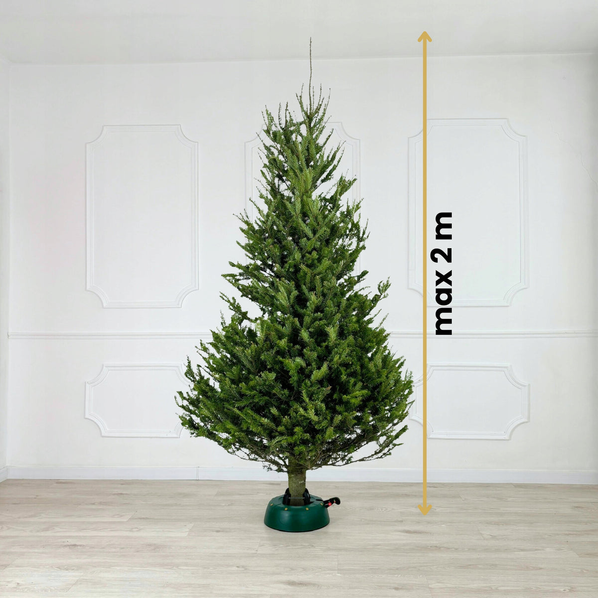 Christmas tree stand for Christmas tree 2m EAN (GTIN) 5906692591749