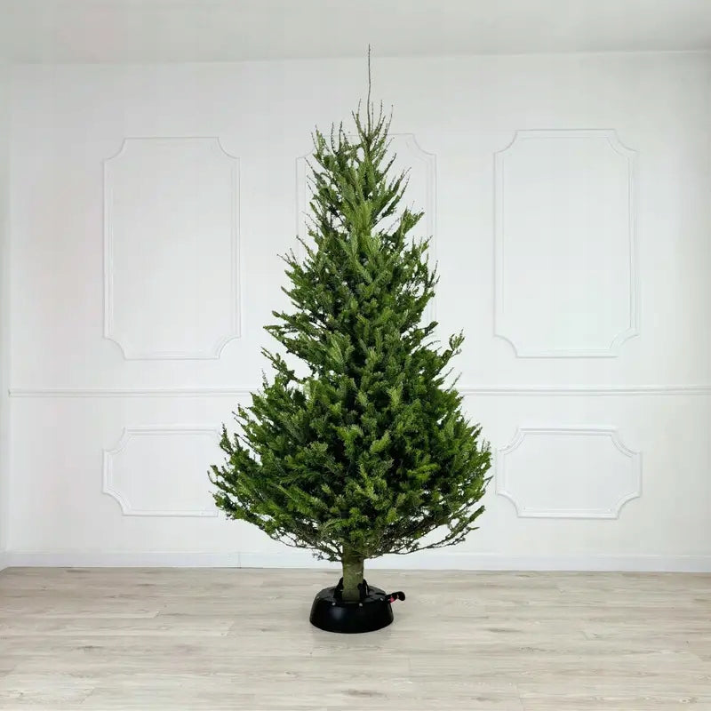 Christmas tree stand up to 2m anthracite - Kamai Brand Kamai