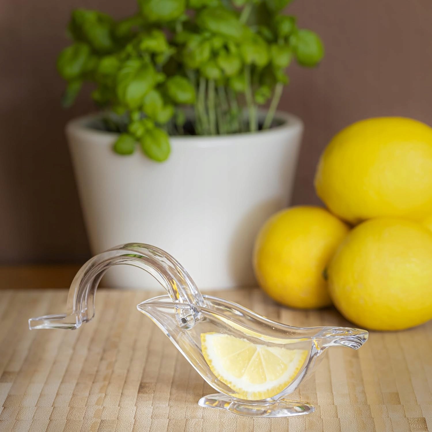Citrus Juicer Manual Lemon Squeezer Orange Acrylic Brand no brand