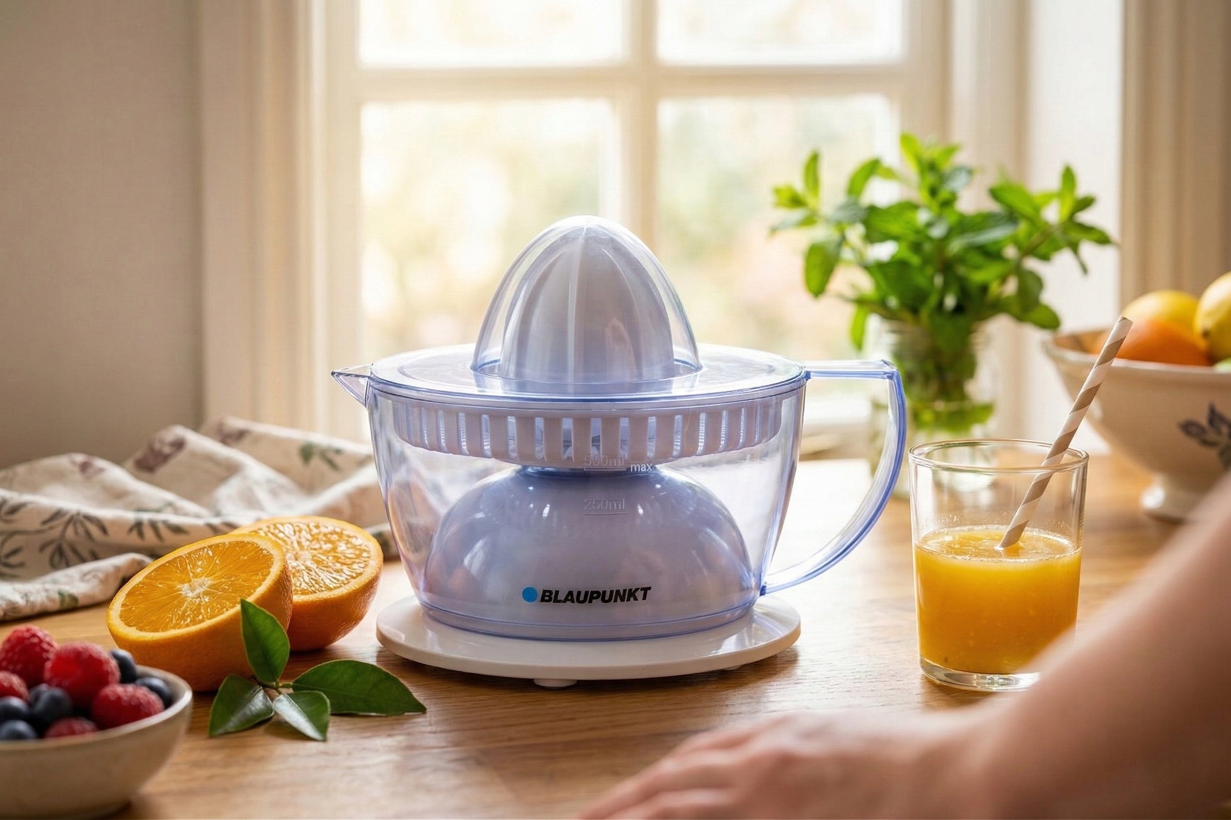 Citrus juicer Blaupunkt CJP301 2 cones 40W Packaging status original
