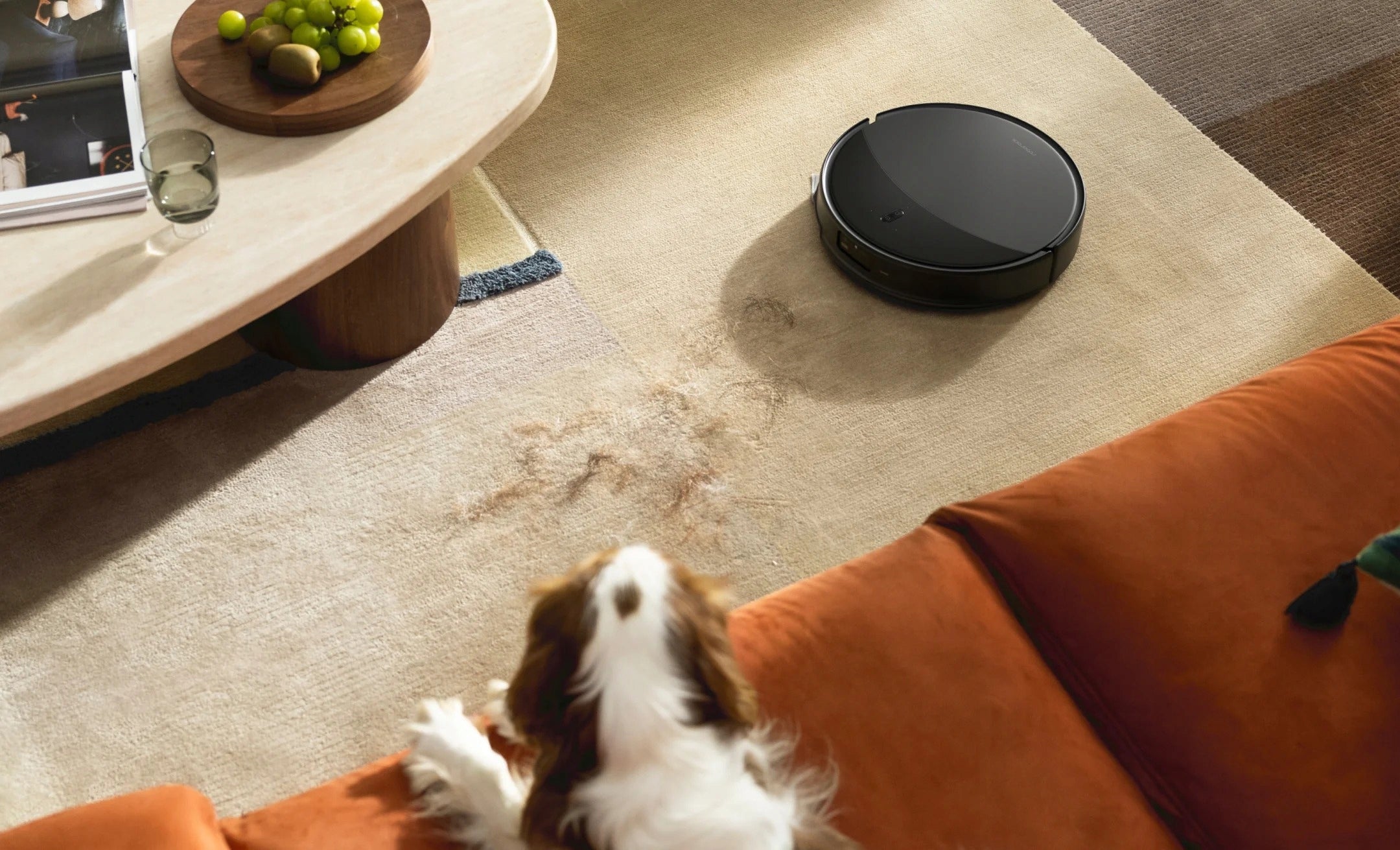 Cleaning robot ROBOROCK Saros 20 36 000 Pa with AI navigation and mopping Wireless operating time 200 min
