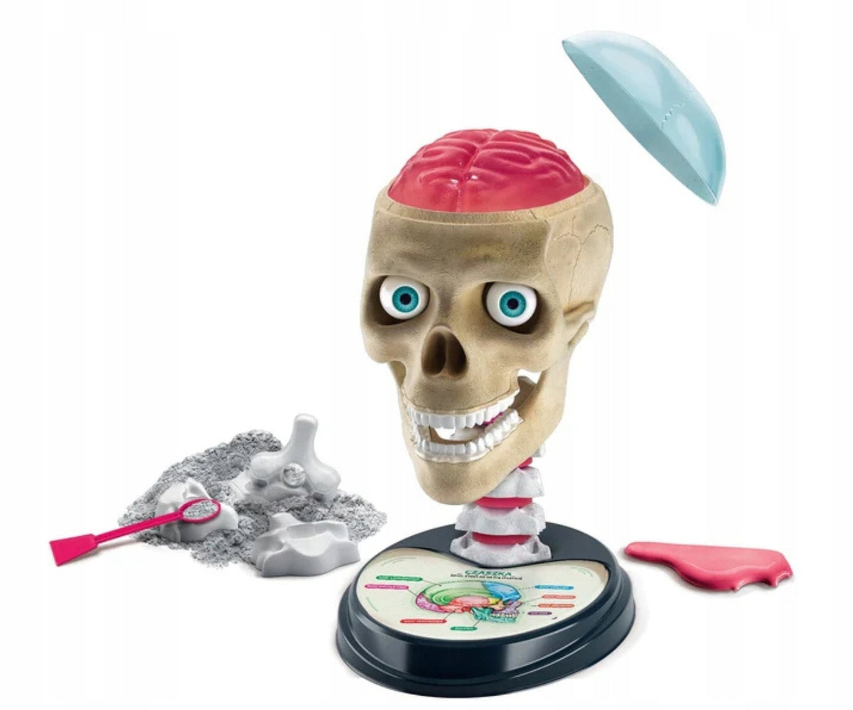 Clementoni Scientific Fun Lab 50697 Crazy Anatomy Kid's age 8+ years