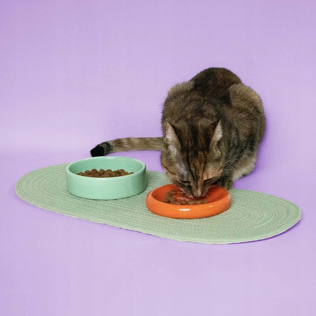Coockoo Funky Cat Dog Bowls 50/280ml Orange-Mint Brand no brand