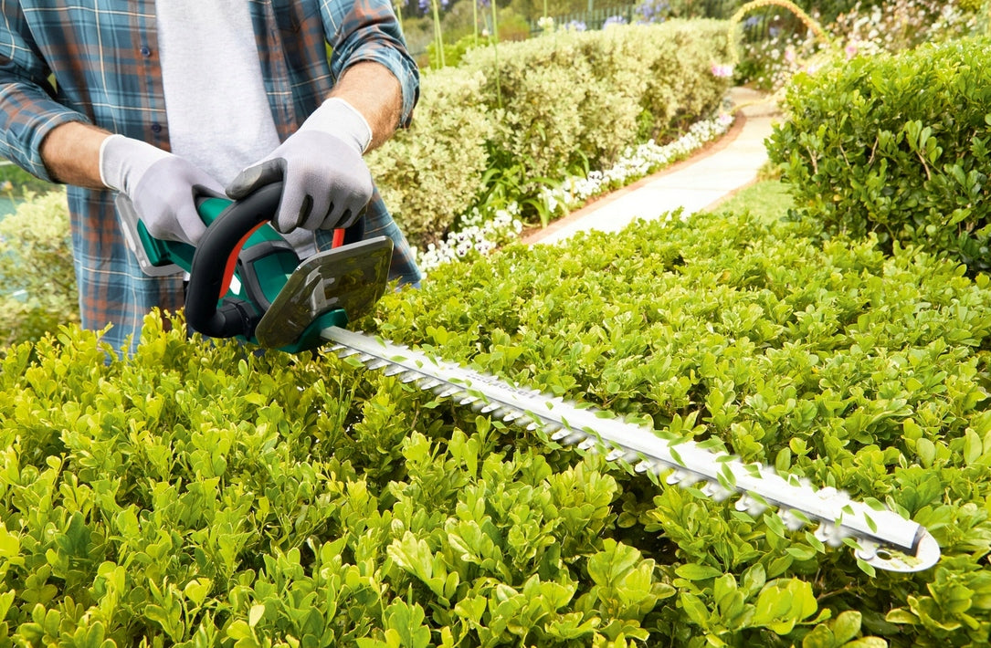 Cordless hedge trimmer PARKSIDE PHSA 20-Li Manufacturer code PHSA 20-Li