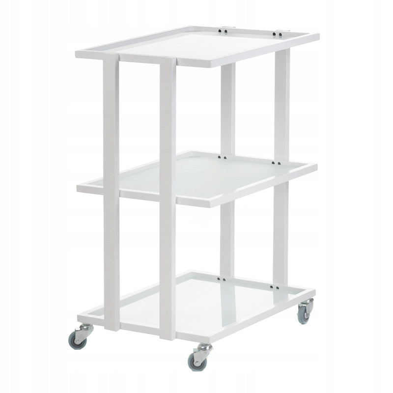 Cosmetic cabinet medical helper BCH-5043 Brand Beauty System
