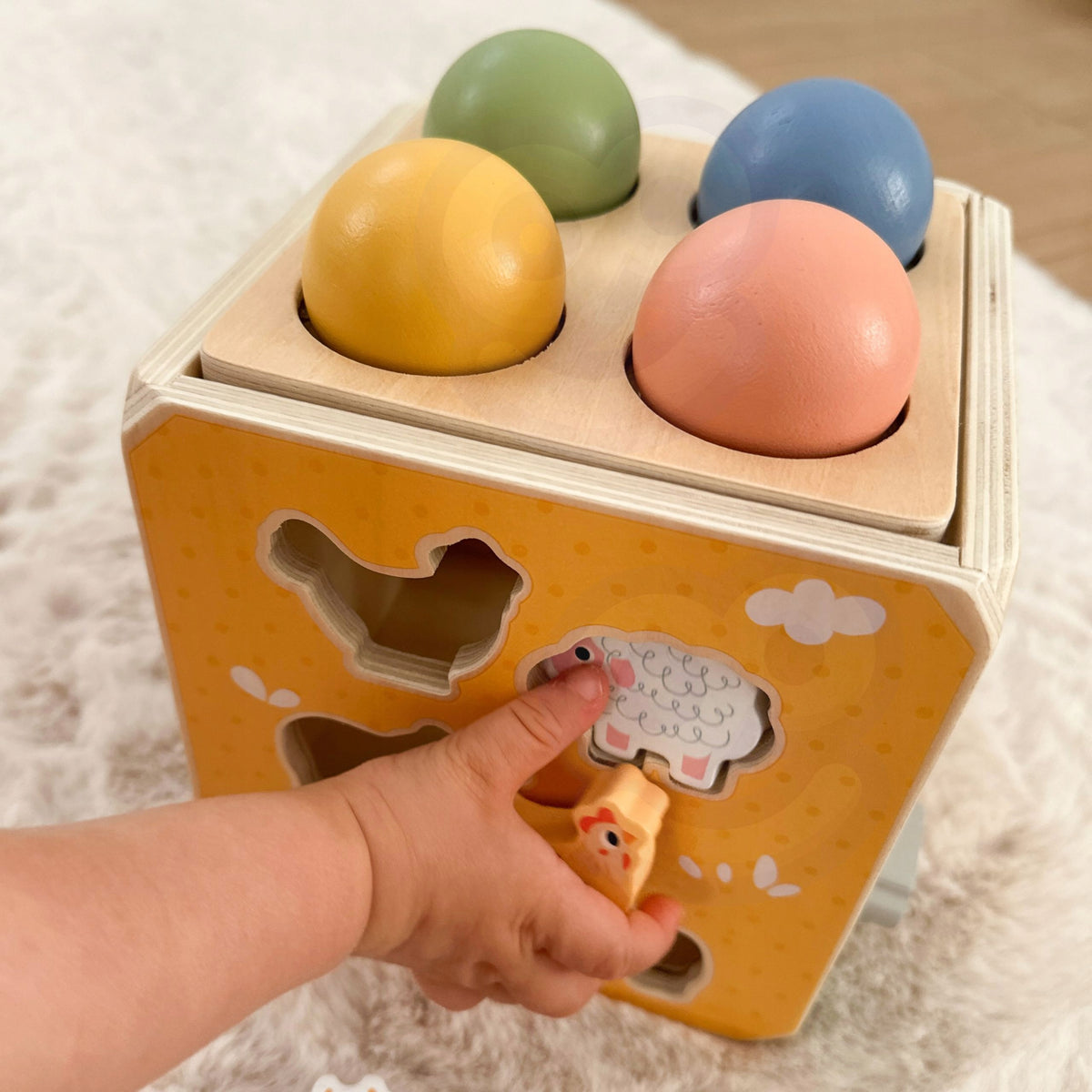 Cube Sorter Educational Sensory Montessori Toy 5in1 TOOKY TOY Manufacturer code TP551