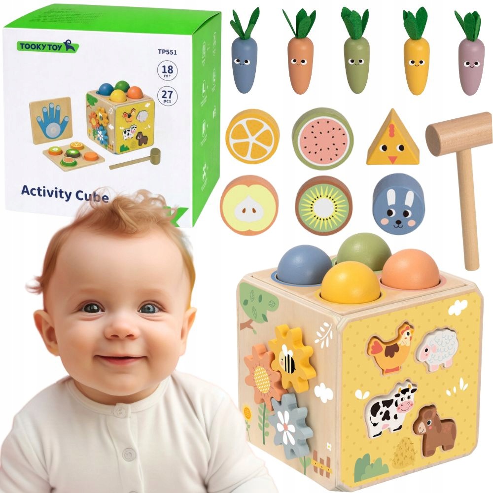 Cube Sorter Educational Sensory Montessori Toy 5in1 TOOKY TOY
