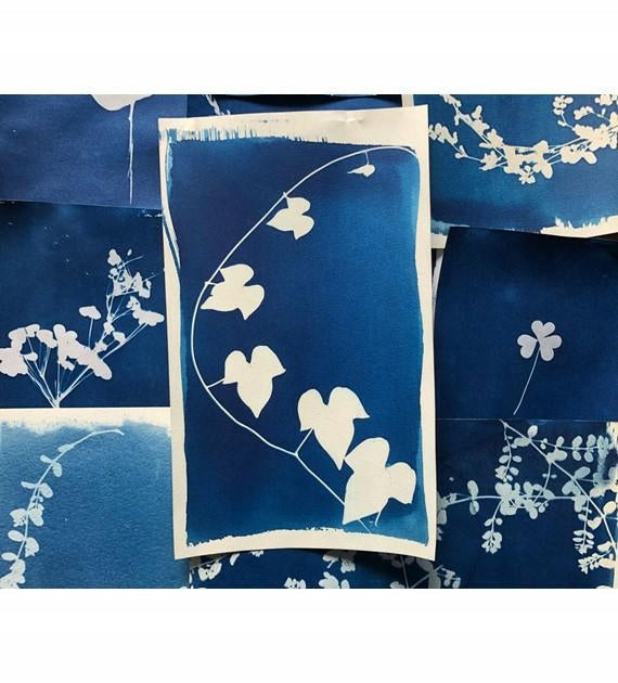 Cyanotype Kit -Sensitizer Set,Jacquard Brand no brand