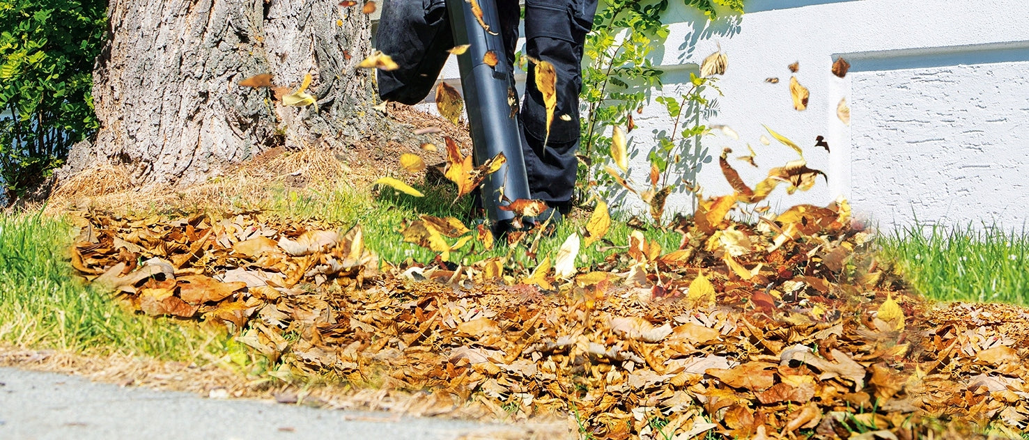 DIESEL BACKPACK BLOWER FOR SNOW GRASS LEAVES GARDEN STRONG DEMON Packaging status original