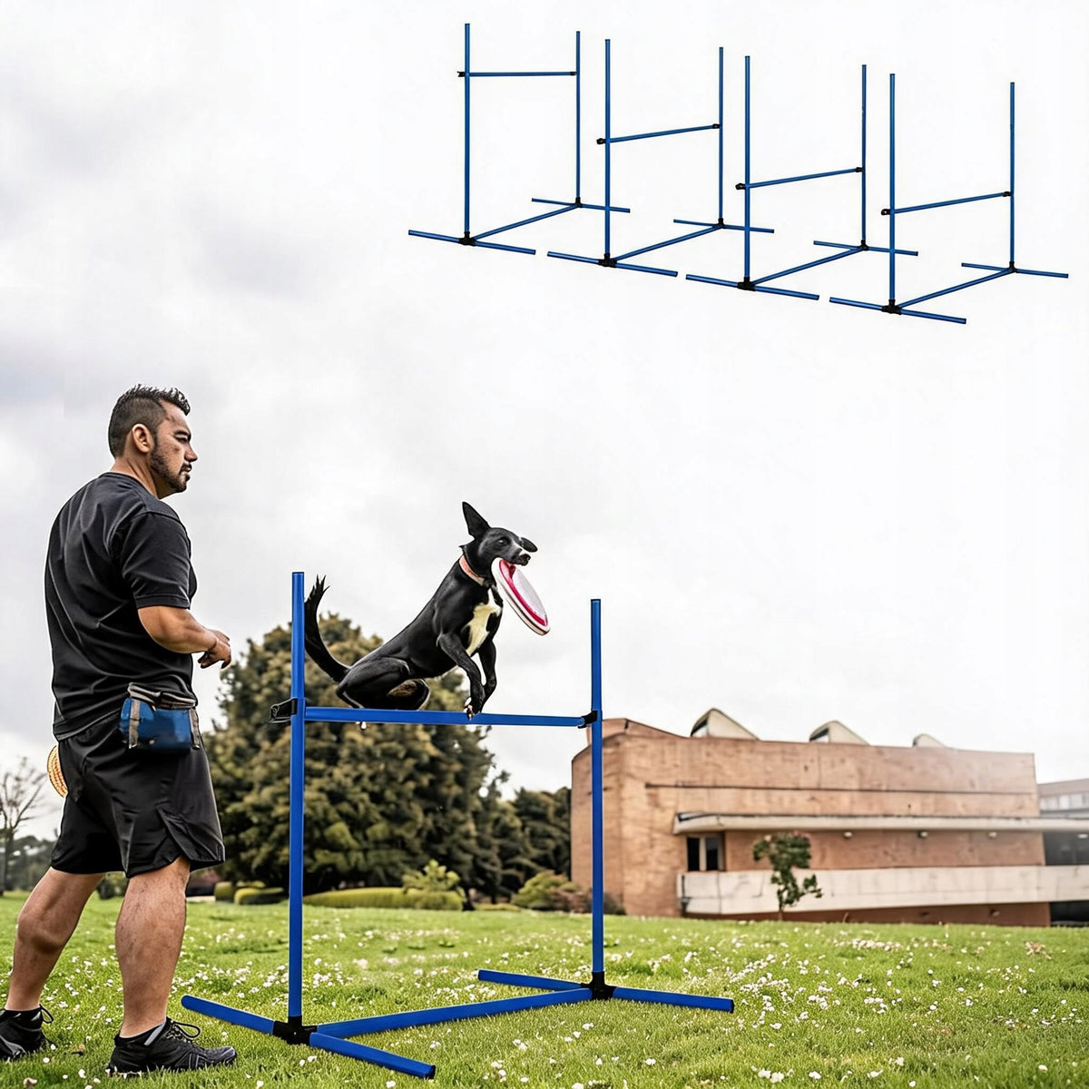 DOG AGILITY SET OBSTACLES 4PCS PVC ADJUSTABLE BLUE WITH BAG Product weight with unit packaging 2.51 kg