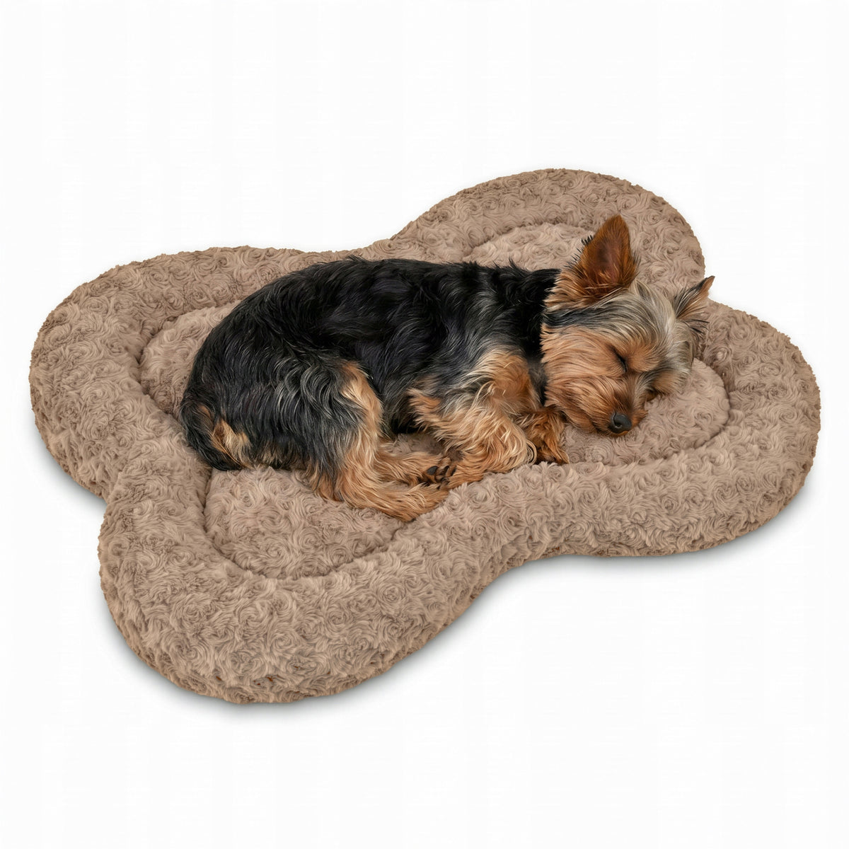 DOG BED 80x50 CM SOFT PLUSH NON-SLIP BONE BEIGE Brand Dogguru