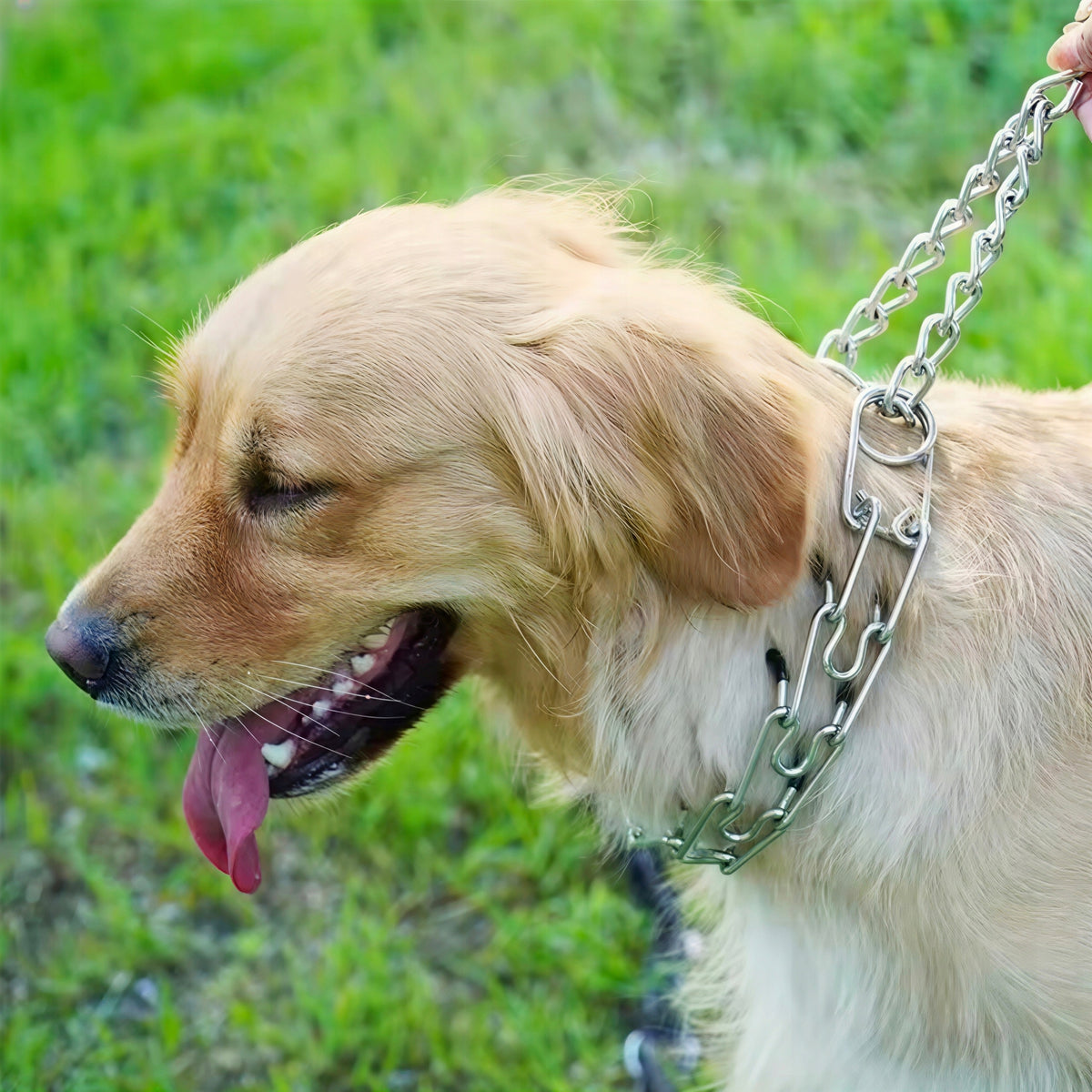 DOG COLLAR TRAINING EARRING STRONG SAFE DURABLE 50-60CM Packaging status original