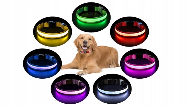 DOG GLOW COLLAR PHILOLET USB STRONG 50-60CM purple Packaging status original