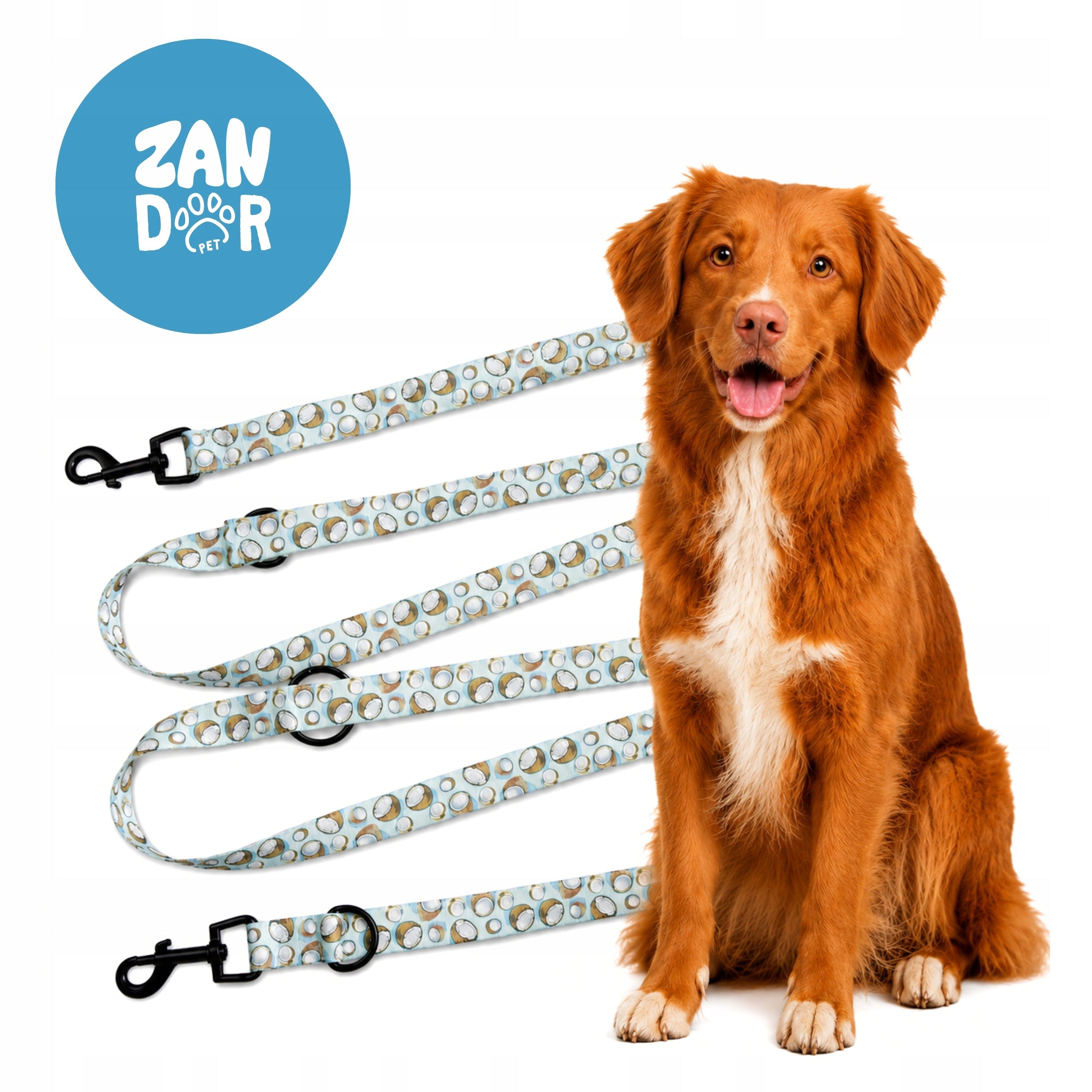 DOG LEASH ADJUSTABLE CLIP-ON STRONG WEBBING 25mm 5 m ZANDOR COCO