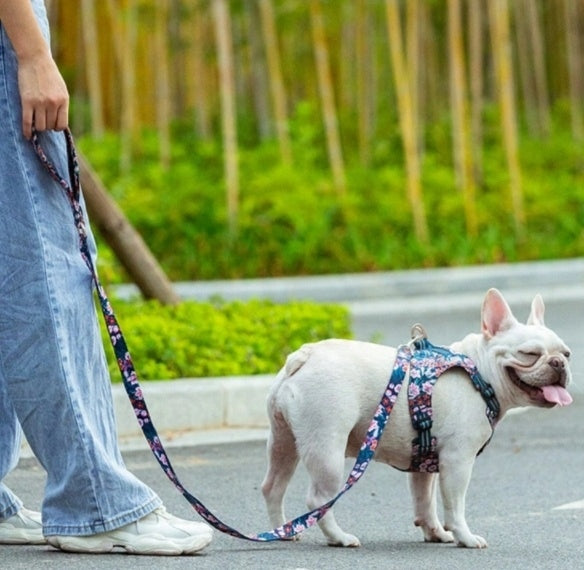DOG LEASH TRUELOVE BLOSSOM NAVY BLUE-RED 1,4M SIZE S Brand Truelove