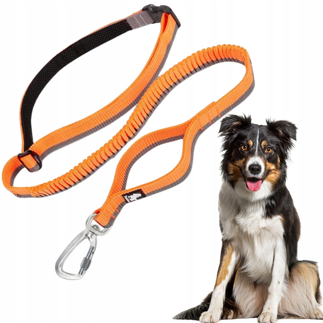DOG LEASH WITH LIGHT SHOCK ABSORBER FOR RUNNING DOGS L ORANGE 3,4 m