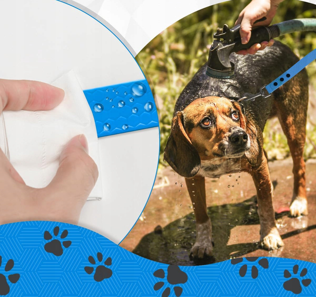 DOG TRAINING LEASH FOR TRAINING STRONG TAPE CORD BIOTHANE PVC 10m Brand no brand