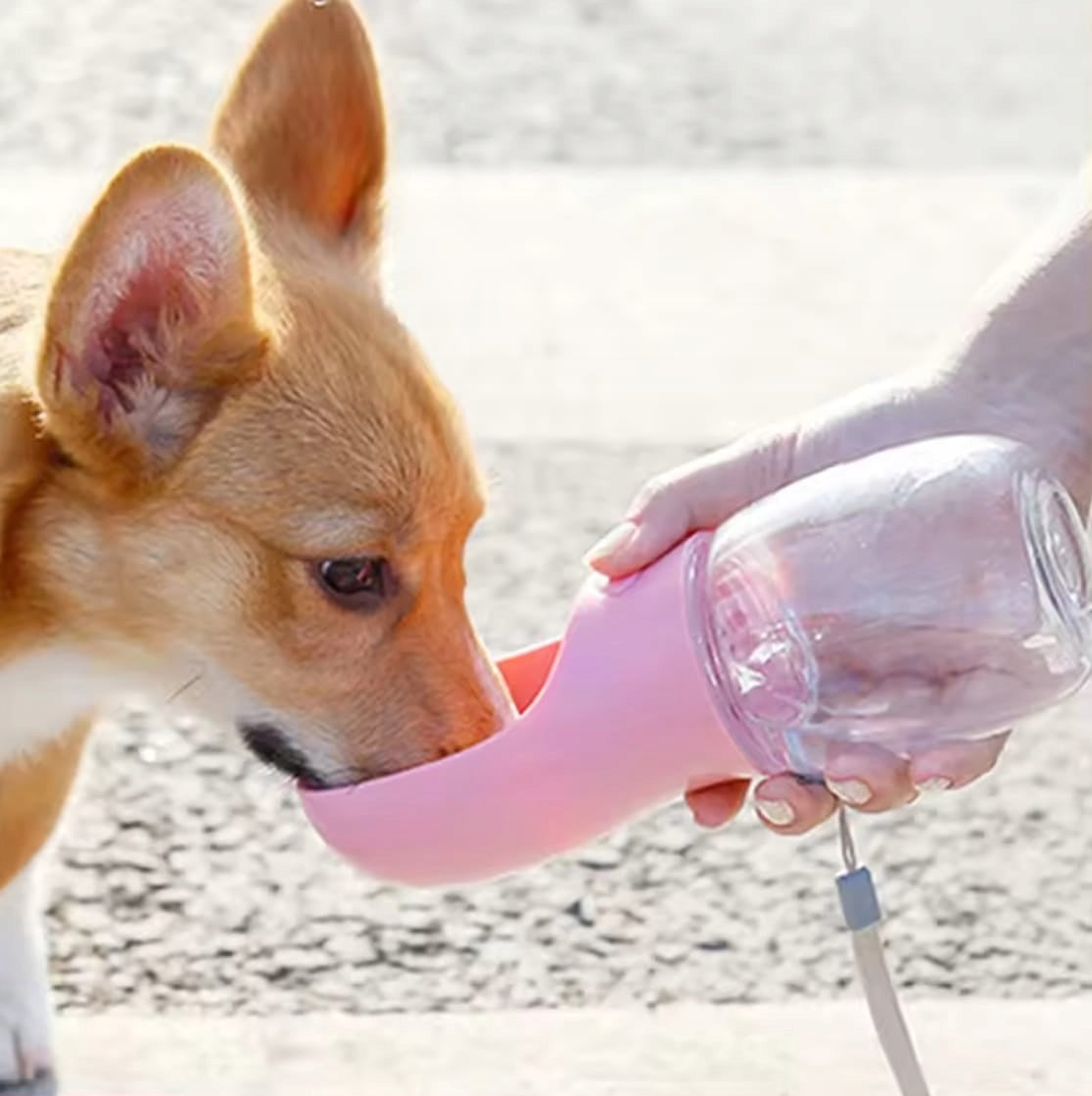 DOG TRAVEL BOTTLE DRINKER WATER BOWL PORTABLE FOR WALKING WATER BOTTLE Brand Mersjo