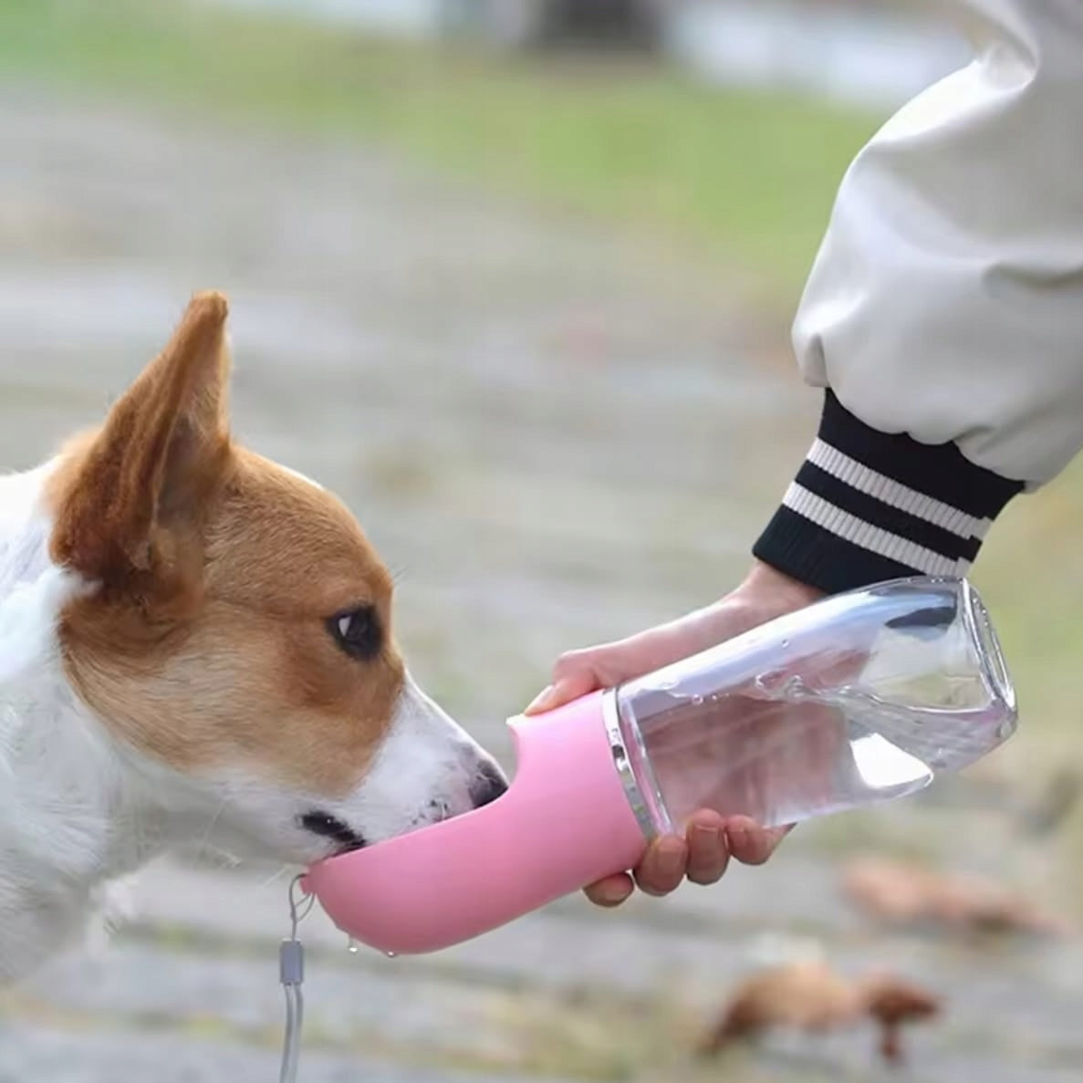 DOG TRAVEL BOTTLE DRINKER WATER BOWL PORTABLE FOR WALKING WATER BOTTLE Manufacturer code QQQW-010-PINK
