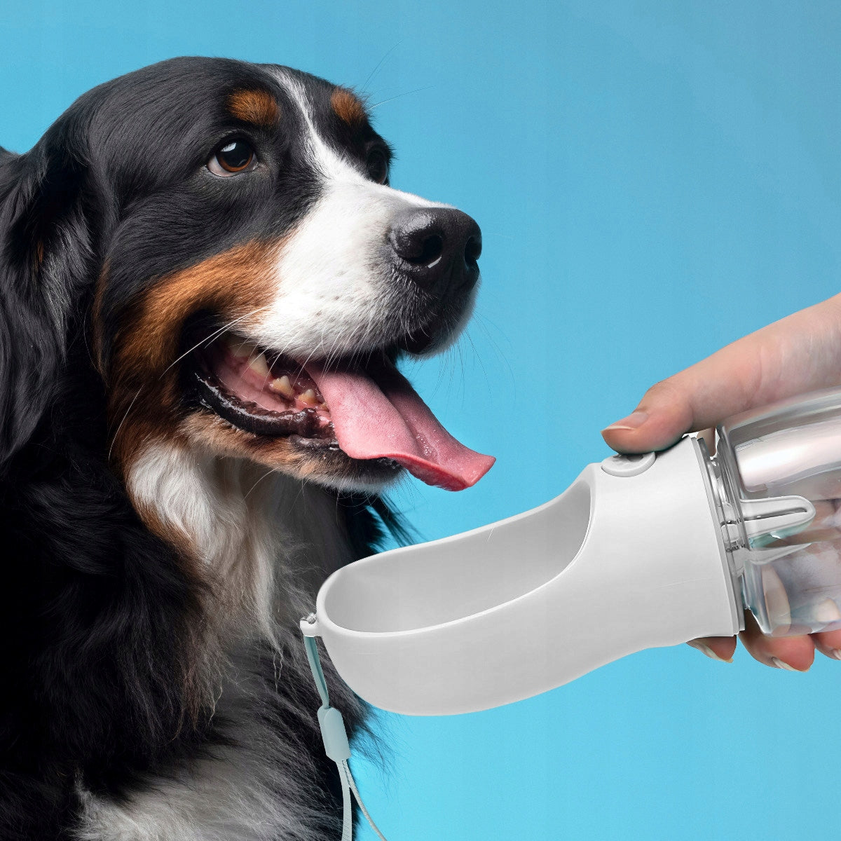 DOG TRAVEL BOTTLE DRINKER WATER BOWL PORTABLE WALK WATER BOTTLE 350 EAN (GTIN) 5906022634221