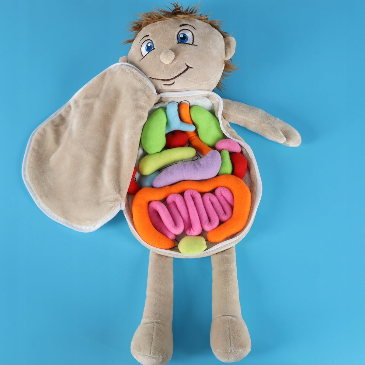 DOLL PLUSH TOY BOY EDUCATIONAL TOY HUMAN ANATOMY Manufacturer code KX2954