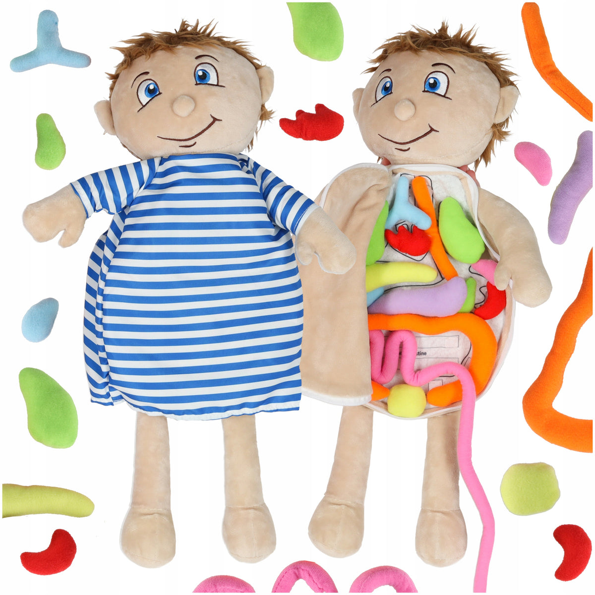 DOLL PLUSH TOY BOY EDUCATIONAL TOY HUMAN ANATOMY