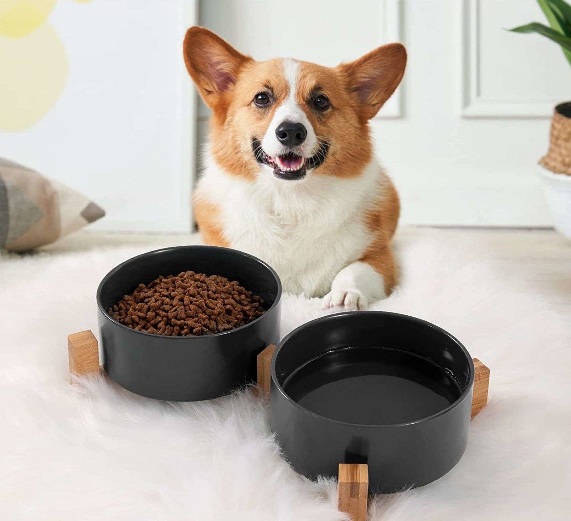 DOUBLE CERAMIC BOWL FOR DOG AND CAT 2 BOWLS WOODEN BASE 2x400ml Brand Mersjo