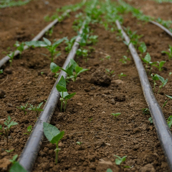 DRIP LINE DRIP IRRIGATION 100+142 EL. Drip Hose Strong Manufacturer code ZLK/33/100/142