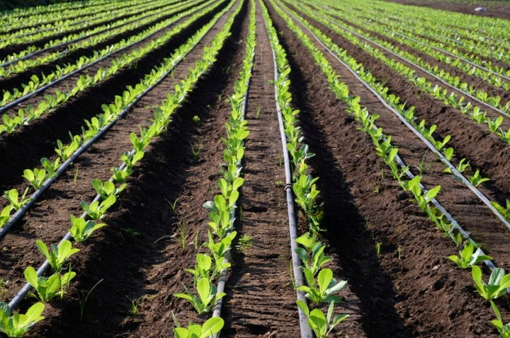 DRIP LINE DRIP IRRIGATION 100m +194XXL DRIP HOSE STRONG Product weight with unit packaging 5.03 kg