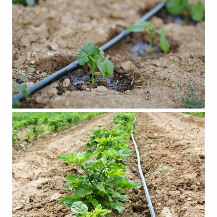 DRIP LINE DRIP IRRIGATION 100m +212 ELEMENTS DRIP HOSE Manufacturer code System Nawadniania Kropelkowego Wąż 100m 165