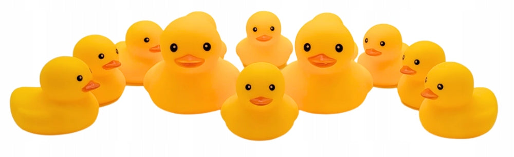 DUCK DUCKS set of 12 pieces FUNNY GIFT Rubber DUCK Packaging status original