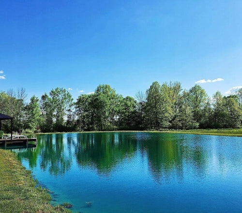 DYOFIX POND BLUE PAINT | 1kg. | Dla jezior spowodowanych glonami Packaging status original