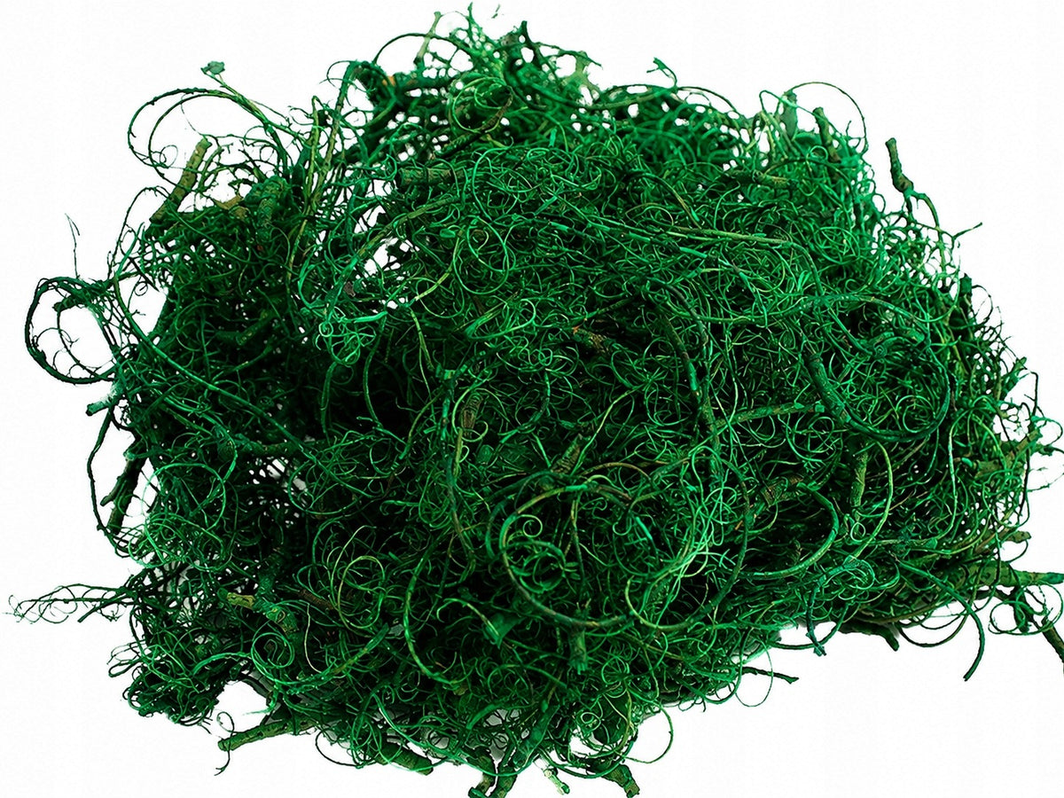 Decorative roots dark green 0,5 L – dried floristic DIY