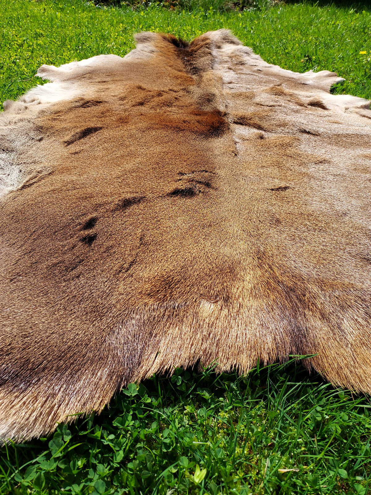 Deer Leather Natural Decorative Leather with Deer XXL Deer Brand no brand