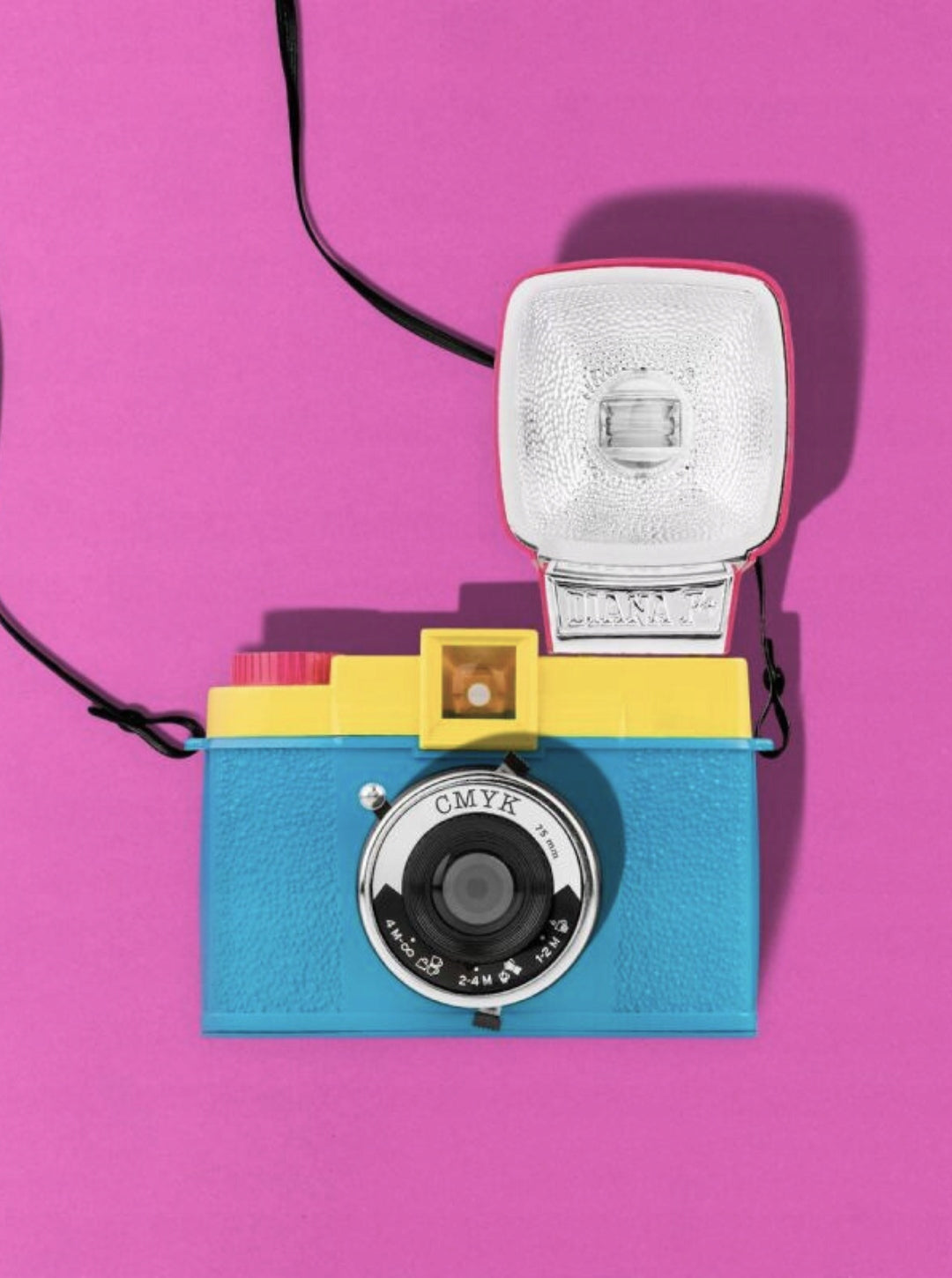 Diana F+ Camera with Lomography flash