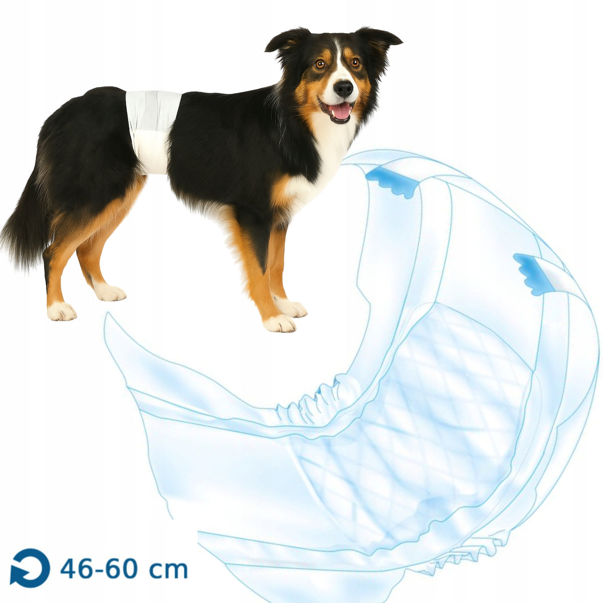 Diapers for dogs, M-L: 46-60 cm, 12 pcs/pack Manufacturer code TX-23642